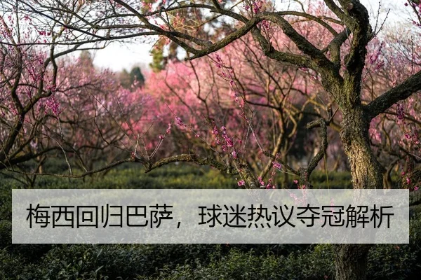 梅西回归巴萨，球迷热议夺冠解析 | manguan-app